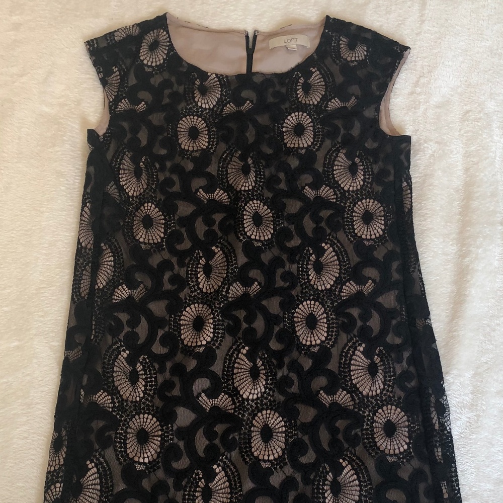 Ann Taylor LOFT Lace Dress Size 4